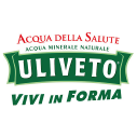 Logo Uliveto